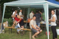 falunap_203_20160801_1732499675