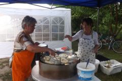 falunap_219_20160801_1304681192