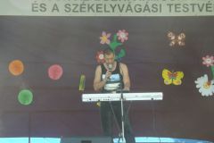 falunap_21_20160802_1436838469