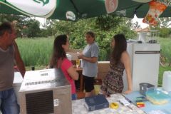 falunap_221_20160801_1347701607
