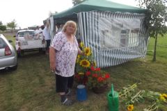 falunap_235_20160801_1777744315
