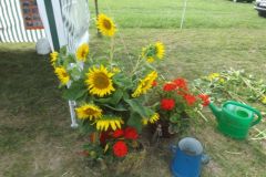 falunap_236_20160801_1204647748