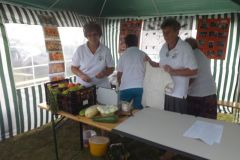 falunap_238_20160801_1982094474