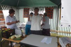 falunap_239_20160801_1018849311