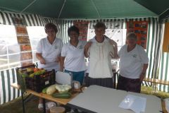 falunap_240_20160801_1707094026