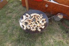 falunap_241_20160801_1485949662