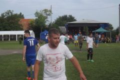 falunap_245_20160801_1048819377
