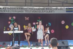 falunap_24_20160802_1331989011