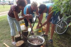 falunap_250_20160801_1038676435