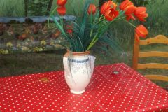 falunap_261_20160801_1125423962