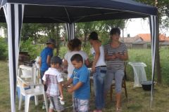 falunap_262_20160801_1593677677