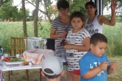 falunap_263_20160801_1515398957