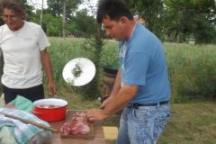 falunap_265_20160801_1110948613