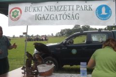 falunap_269_20160801_1621479125