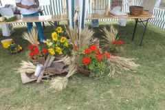 falunap_271_20160801_2067727262