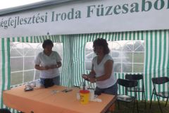 falunap_276_20160801_2085312472