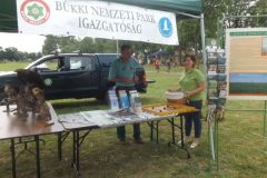 falunap_281_20160801_1906650445