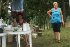 falunap_285_20160801_1545254970