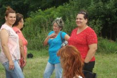 falunap_293_20160801_1856711860