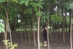 falunap_298_20160801_1951526020