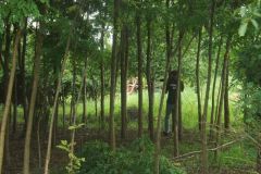 falunap_302_20160801_1665605208