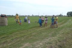 falunap_335_20160801_1414943958