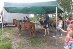 falunap_336_20160801_1497162350