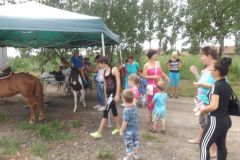 falunap_337_20160801_1248965760
