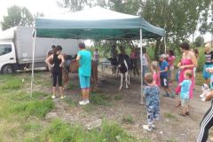 falunap_338_20160801_1150234081