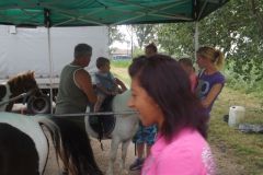 falunap_339_20160801_1189982152