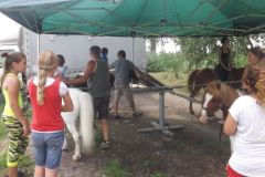 falunap_343_20160801_1252887610