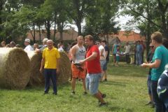 falunap_345_20160801_1320709049