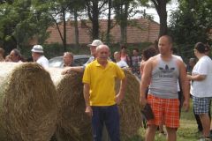 falunap_346_20160801_1035856093