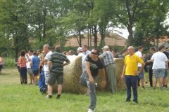 falunap_349_20160801_1586926553