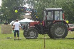 falunap_351_20160801_1413989876