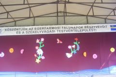 falunap_38_20160801_1386088677