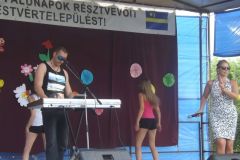 falunap_39_20160802_1619280050