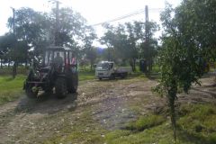 falunap_48_20160801_1834979098