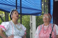 falunap_49_20160802_1310027334