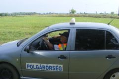 falunap_59_20160801_1801676528