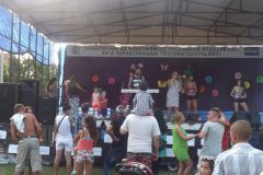 falunap_74_20160802_2001493642