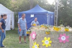 falunap_75_20160802_1912650657