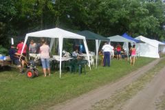 falunap_78_20160801_1990159042