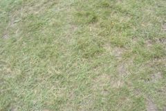 falunap_81_20160801_1097714768