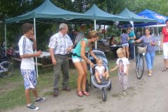 falunap_82_20160801_1925222813