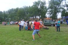 falunap_86_20160801_1255576394