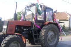 falunap_8_20160801_1815963703