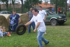 falunap_90_20160801_1040417586