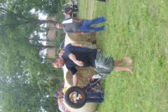 falunap_95_20160801_1376429267