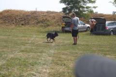 falunap_egerfarmos_2015_111_20150805_1402998095